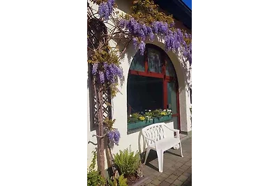 Ferienhaus mit Garten und eigenem Schwimmbad