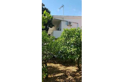 Ferienwohnung Apartment Mandarin