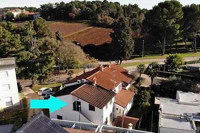 Ferienwohnung mit Klimananlage und Terrasse