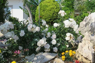 Charmantes Apartment Opsenica in Barbat auf d