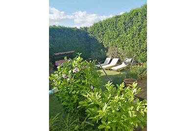 Ferienwohnung klimatisiert, ruhige, stille Um