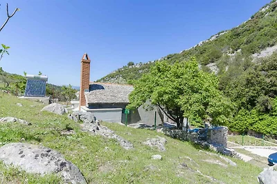 Ferienhaus mit Grill