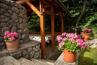 Ferienhaus im Herzen der Natur