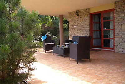 Ferienhaus mit Pool und Ausblick zum Balaton 
