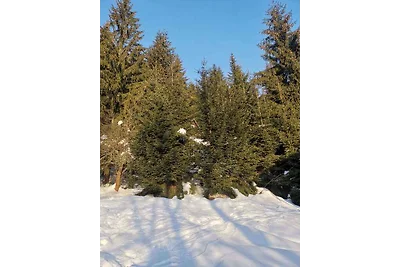 Ferienhaus am Wald mit Veranda