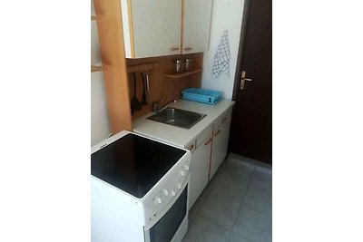 Vakantieappartement Gezinsvakantie Bribir