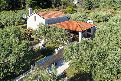 Ferienhaus mit Gartenpavillon