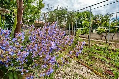 Gemütliche Unterkunft LINA in Mali Lošinj