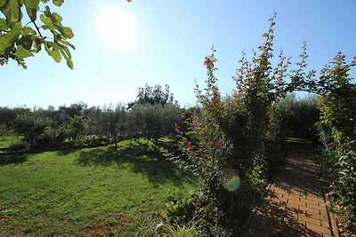 Ferienwohnung in grüner und ruhiger Lage