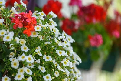Ferienwohnung mit Terrasse