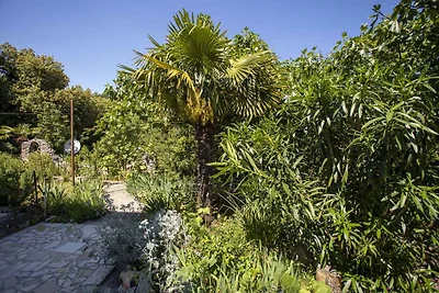 Ferienwohnung mit Terrasse, Tiere sind