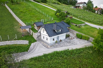 Ferienhaus mit wunderschöner Aussicht