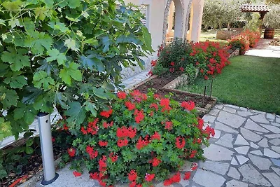 Ferienwohnung mit Garten zur gemeinsamen