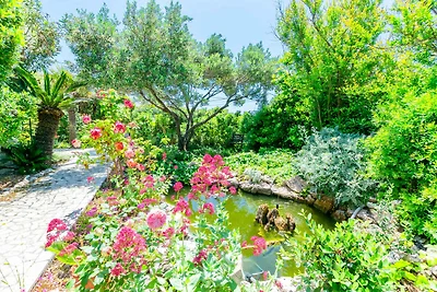 Holiday flat family holiday Barbat