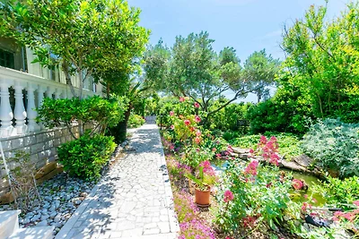 Holiday flat family holiday Barbat