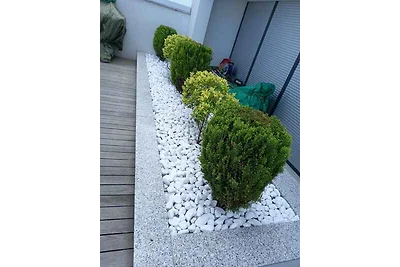 Ferienwohnung Villa Agave