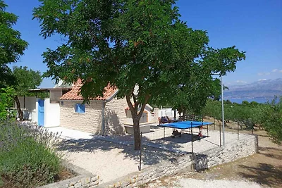 Ferienhaus Mit Terasse und Pool