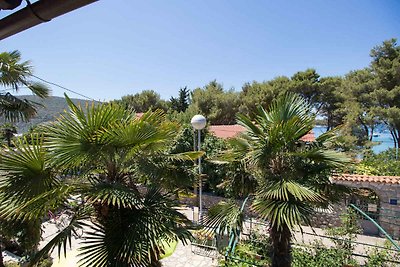 Appartamento Vacanza con famiglia Cres (Isola)