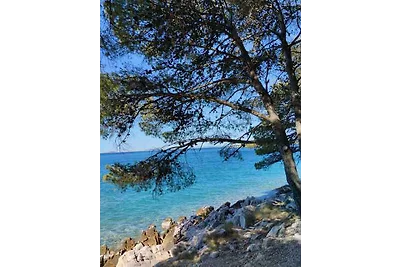 Ferienwohnung erste Reihe zum Meer