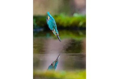 Appartamento Vacanza con famiglia Rosolina