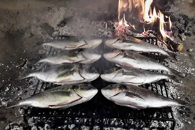 Gemütliche Ferienwohnung Huljev in Primošten 