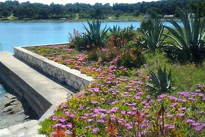 Vakantieappartement Gezinsvakantie Mali Lošinj