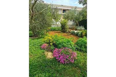 Ferienwohnung mit Terrasse und Klimaanlage