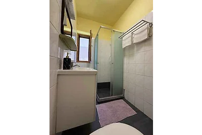 Ferienhaus mit Steg und direkter Zugang zum