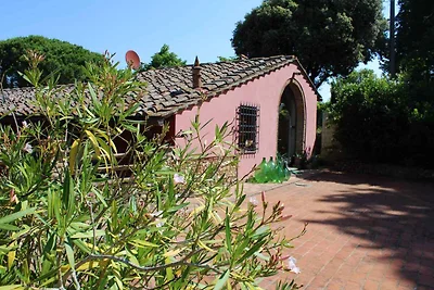 Appartamento Vacanza con famiglia Montespertoli
