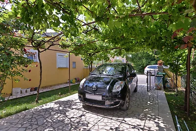 Appartamento Vacanza con famiglia Valbandon