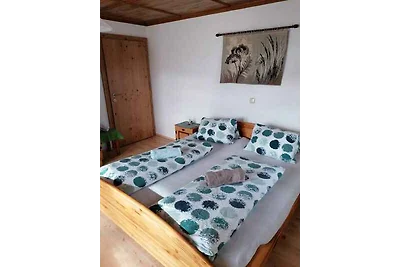Appartamento Vacanza con famiglia Hart im Zillertal