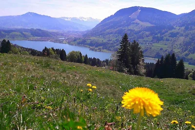 Studio mit Balkon und Internet