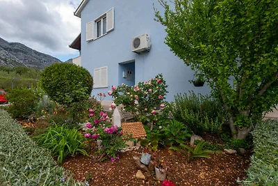Ferienwohnung mit Meerblick