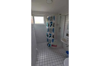 Ferienwohnung in Erzgebirge mit Möglichkeit
