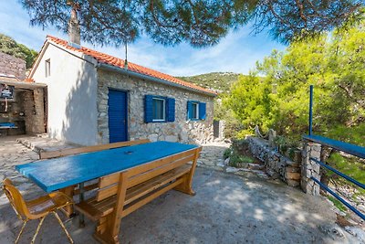 Ferienhaus mit Garten und Meerblick