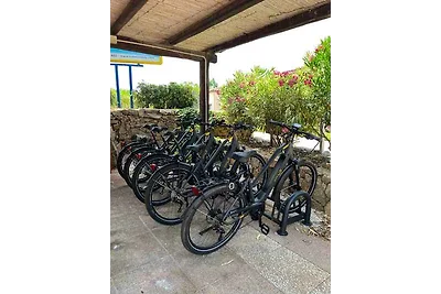 Mobilehome mit Parkplatz