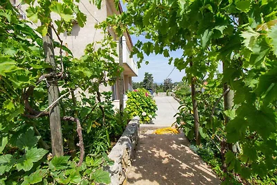 Apartament Dla rodzin Veli Losinj