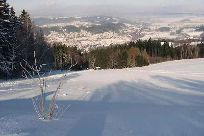 Domek letniskowy Urlop wypoczynkowy Trutnov