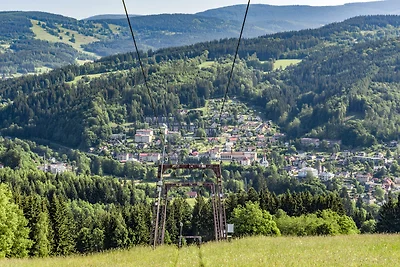 Ferienhaus mit Mikrowelle