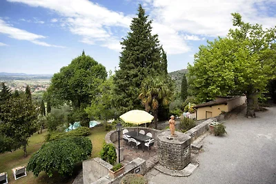 Villa umgeben von Olivenhainen und Pinienwald