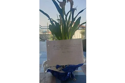 Ferienwohnung mit Meerblick