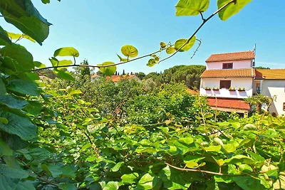 Appartamento Vacanza con famiglia Valbandon