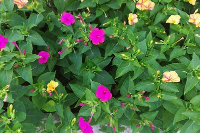 Ferienwohnung mit Klimaanlage und Balkon