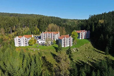 Vakantieappartement Gezinsvakantie Wernigerode