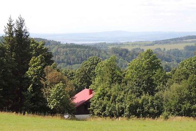 Vakantiehuis Ontspannende vakantie Starkov