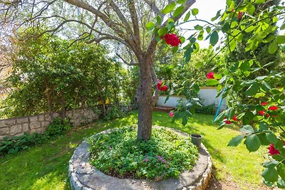 Appartamento Vacanza con famiglia Crikvenica