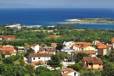 Appartamento Vacanza con famiglia Ližnjan