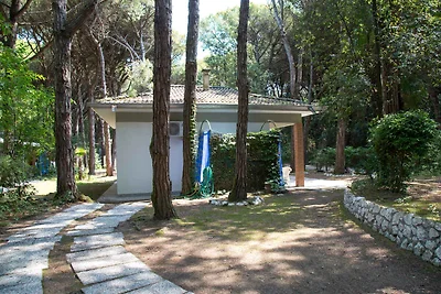 Bungalow 80 m vom Strand mitten im Pinienhain