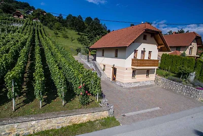 Casa vacanze Vacanza di relax Trebnje