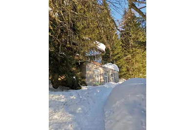 Ferienhaus am Wald mit Veranda